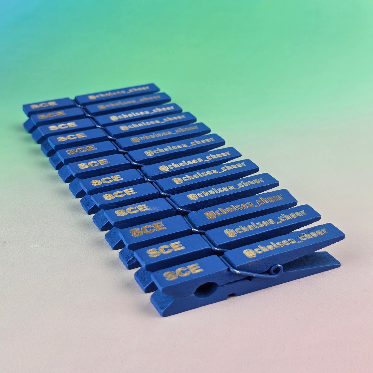 12 Personalised Engraved Pegs
